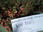 Hiệu quả từ mô hình gây quỹ từ thiện thực hiện chương trình "Bát cháo tình thương" của Chi đoàn Đông Yên, phường Hòa Thuận