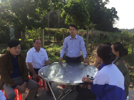 anh cau dan sinh 2